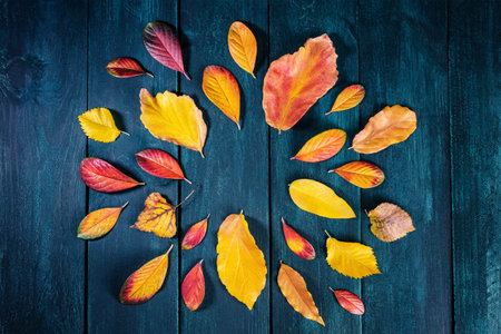Autumn leaves on dark rustic texture with copy spaceの写真素材