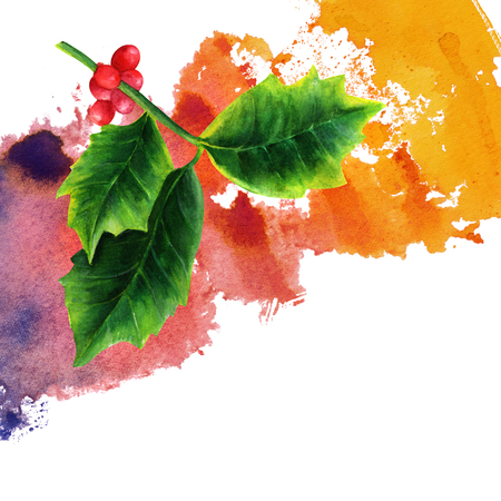 Watercolor drawing of Christmas holly with place for textの写真素材