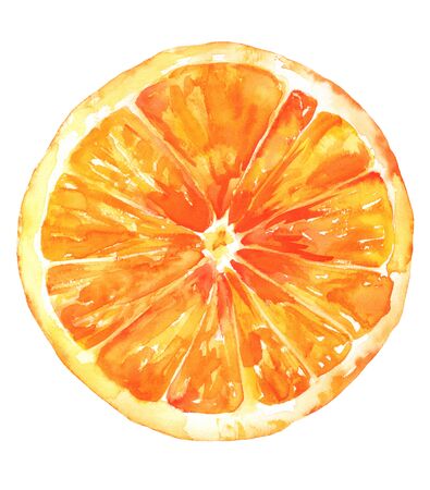 Watercolour orange drawing, isolated on whiteの写真素材