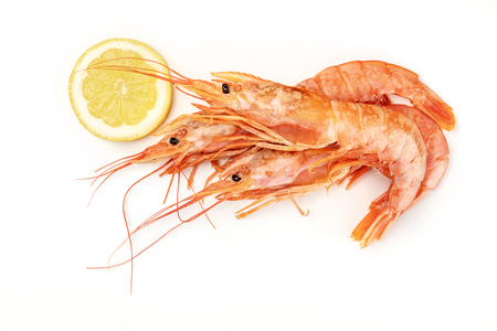 Overhead photo of raw shrimps on white, with a lemon slice, with copy spaceの写真素材