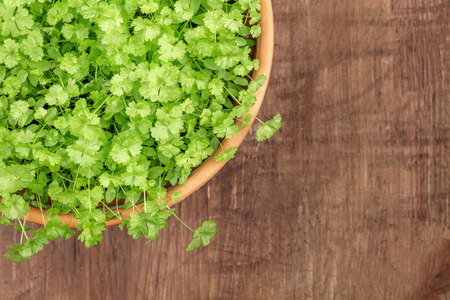 Overhead photo of fresh green parsley in pot with copy spaceの写真素材