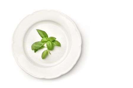 An overhead photo of a white plate with fresh basil leaves and copy spaceの写真素材
