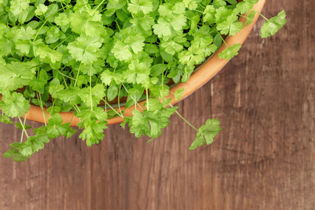 Overhead photo of fresh green parsley in pot with copy spaceの写真素材
