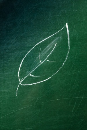 A photo of a leaf drawing made with chalk on a green board, with copy spaceの写真素材