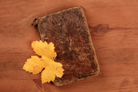 A photo of an old notebook with an autumn leaf, shot from the top on a dark rustic wooden background with a place for textの写真素材