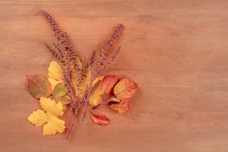 Autumn leaves, shot from the top on a dark rustic wooden background with a place for text, toned imageの写真素材