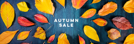 Autum Sale. Panoramic discount banner design template with vibrant autumn leaves and a place for a...