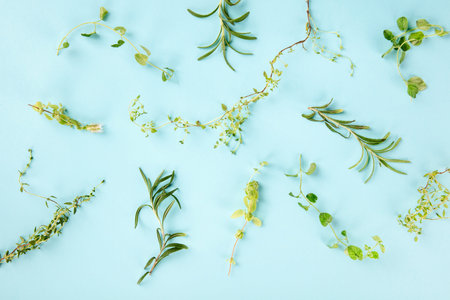The herbs of Provence. Rosemary, oregano, thyme, and marjoram, shot from the top on a blue...