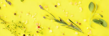 Herbs and spices, shot from the top on a vibrant yellow background, flat lay panoramaの写真素材