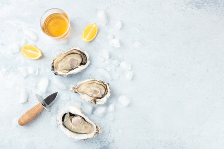 Fresh raw oysters, shot from the top on ice with a glass of white wine, lemon slices, oyster knife...