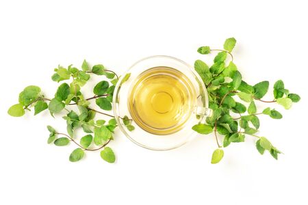 Mint tea cup, shot from the top on a white background with vibrant fresh mint leaves and a place for textの写真素材
