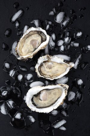 Fresh raw oysters on ice, shot from above on a black backgroundの写真素材