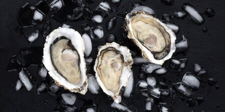 A panorama of fresh raw oysters on ice, shot from the top on a black backgroundの写真素材