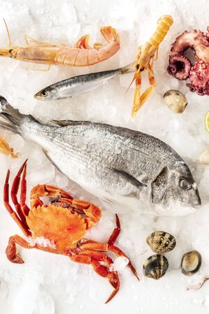 Fish and seafood, a flatlay top shot on white. Sea bream. shrimps, crab, sardines, and clams on iceの写真素材