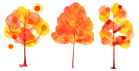 Autumn trees. A collection of quirky trees in the colors of fall, isolated on a white backgroundの写真素材