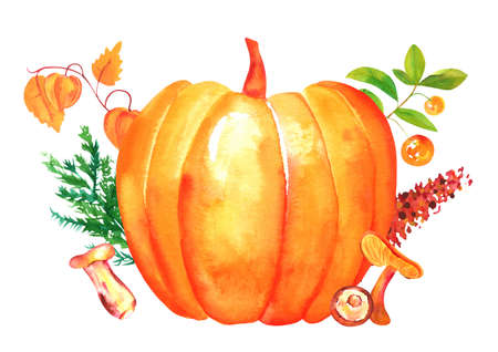 Autumn composition, watercolor fall arrangement for greeting cards, posters, or menus, isolated on a white backgroundの写真素材