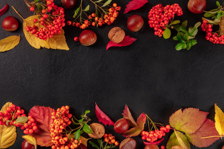 Autumn background design template with fall leaves, and chestnuts, a top flatlay shot with copy...