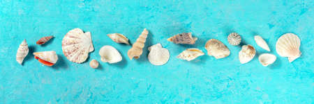 Sea shells panorama on a vibrant blue backgroundの写真素材