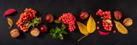 Autumn panorama with fall leaves and chestnuts, a top flat lay shotの写真素材