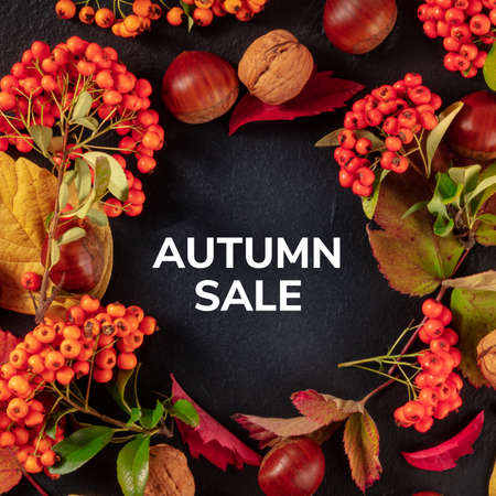 Autumn Sale square design with chestnuts and fall leaves, overhead shotの写真素材