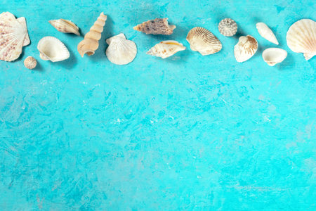 Sea banner with a place for text, seashells, shot from the top on a blue background