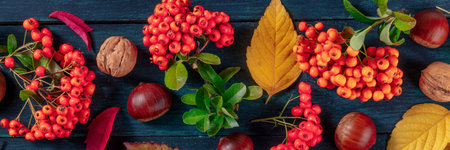 Autumn panorama with autumn leaves and chestnuts, an overhead flat lay shot