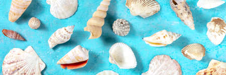 Ocean panorama with sea shells, shot from above on a vibrant blue backgroundの写真素材