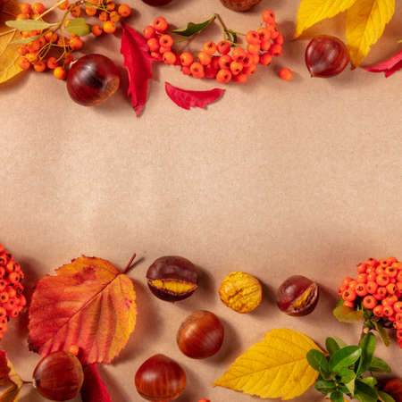 Square autumn design template with autum leaves, chestnuts and a place for text, shot from aboveの写真素材