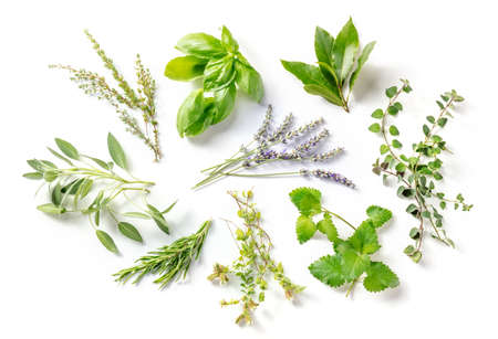 Fresh aromatic herbs, overhead flat lay shot on a white background. Bunches of rosemary, basil, thyme and various other culinary plantsの写真素材
