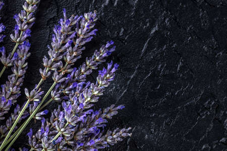 Lavender background with a bouquet of lavandula, shot from the top on a black background with copy space. Aromatic herb blossomの写真素材