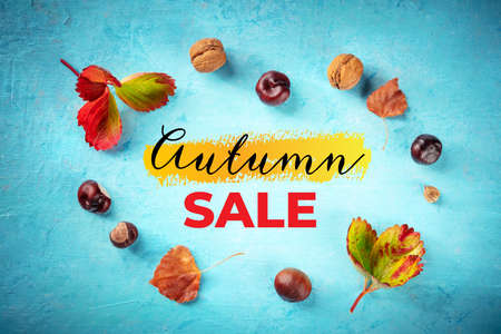 Autumn Sale banner with fall leaves and chestnuts, overhead flat lay shot on a blue backgroundの写真素材