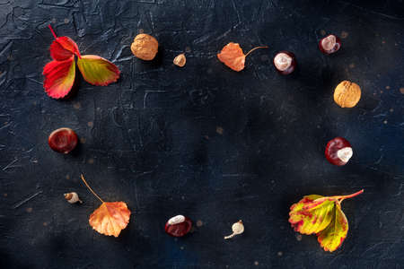 Autumn background with vibrant leaves and chestnuts, overhead flat lay shot on black with a place for text, a design template for a banner or invitationの写真素材