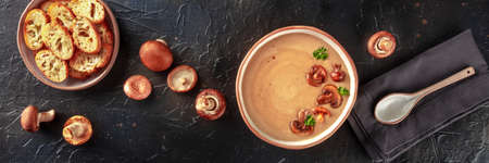 Mushroom cream soup panorama with various mushrooms and toasted bread, overhead flat lay shot with a rustic spoonの写真素材