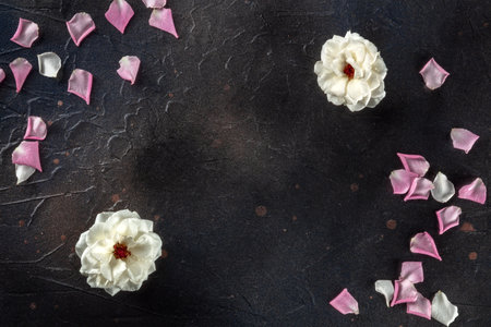 Floral background frame with white roses and flower petals, overhead flat lay shot on black with a place for text, a greeting card or invitation design templateの写真素材