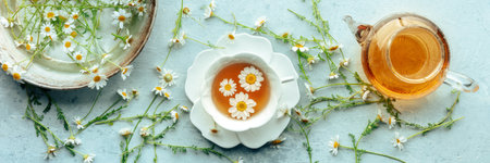 Chamomile flower tea panorama. A tea cup and a tea pot with fresh medicinal flowers, natural organic remedy, overhead flat lay panoramic bannerの写真素材