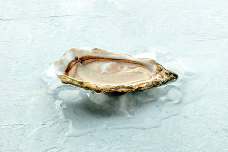 Fresh raw oyster with a glass of wine, on ice, on a slate background, a close-upの写真素材