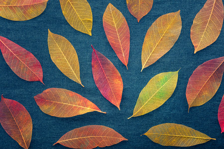 Autumn leaves background. Skeleton leaves on a blue texture. Fall banner in vibrant colors