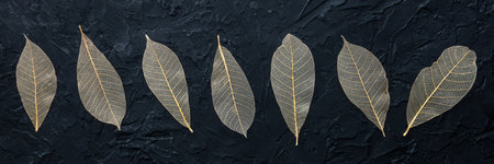 Autumn leaves banner. Skeleton leaves on a black texture. Fall panoramic bannerの写真素材