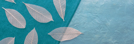 Autumn leaves panoramic banner. Skeleton leaves on blue textures, with copy space. Fall panorama