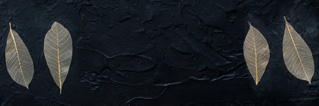 Autumn leaves banner with copy space. Skeleton leaves on a black texture. Fall panoramic bannerの写真素材