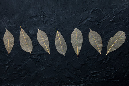 Autumn leaves background. Skeleton leaves on a black texture, with copy space. Fall banner
