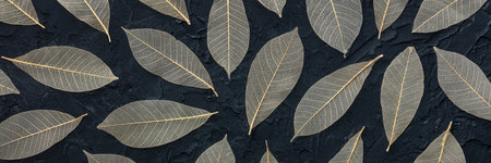 Autumn leaves background. Skeleton leaves pattern on a black texture. Fall panoramic bannerの写真素材
