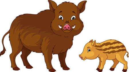Wild boar with her cub.のイラスト素材