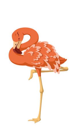 Bird pink flamingo sleeping vector cartoon illustrationのイラスト素材