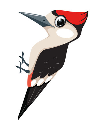 Bird woodpecker cartoon vector illustration in flat styleのイラスト素材