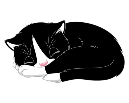 Cute sleeping cat cartoon vector illustrationのイラスト素材