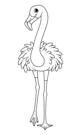 Bird greater flamingo coloring page, outline vector cartoon illustrationのイラスト素材