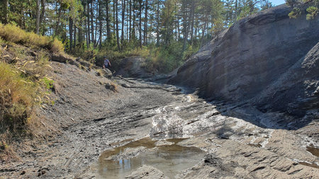mtb trails through black hills in provence