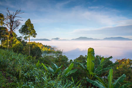 Morning Mist at Tropical Mountain Range,This place is in the Kaeng Krachan national park, Thailand  の写真素材