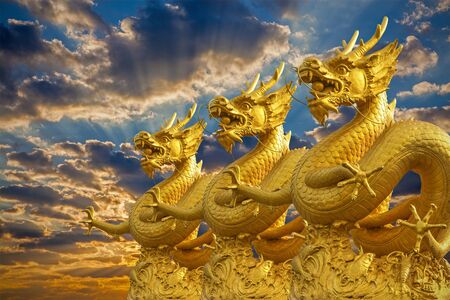 Chinese Golden Dragons Statue with sunsetの写真素材